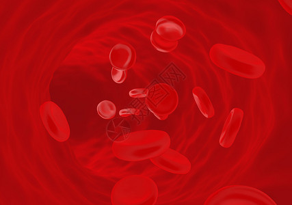 静脉中的红细胞图片