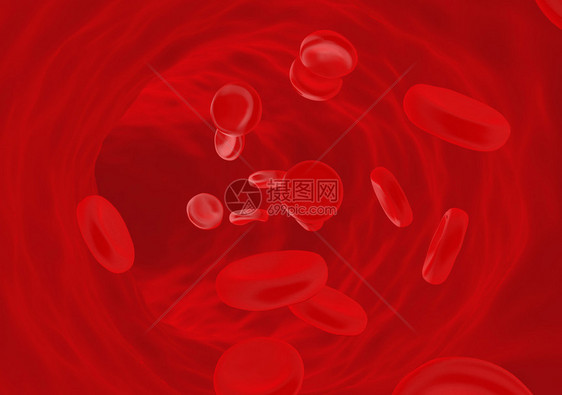 静脉中的红细胞图片
