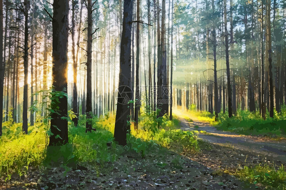 在绿色的树林中壮丽美的日落矢量图图片