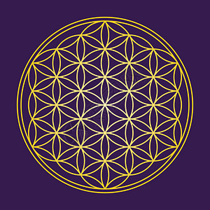 生命之花深紫色背景上的一个几何图形背景图片