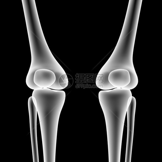 人体骨骼膝关节的3D插图图片