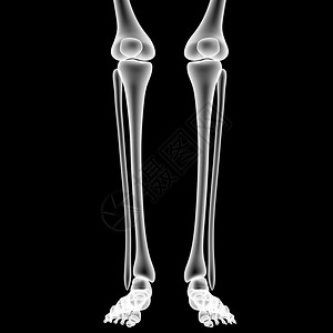 带膝关节的人腿的3D插图图片