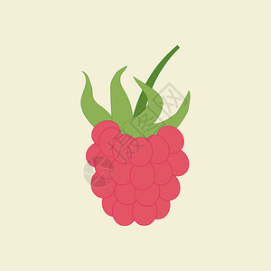 黄色背景上的RaspberryBerry图标图片