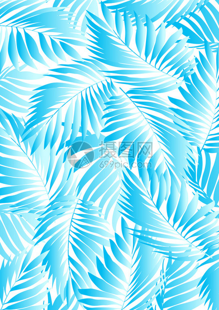 白色背景上的热带水叶图片