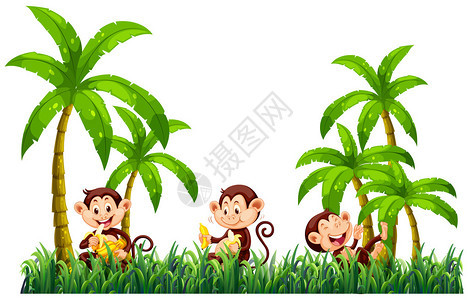 三只猴子吃香蕉插图图片