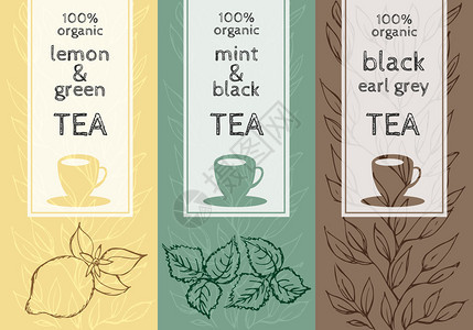 矢量集模板包装茶标签横幅海报身份品牌黑茶绿茶和草本图片