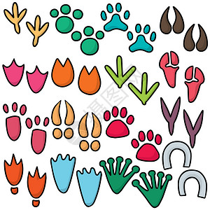 各种动物的脚印卡通图片