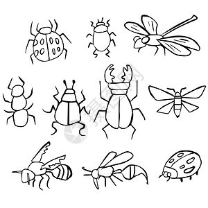 昆虫矢量组图片