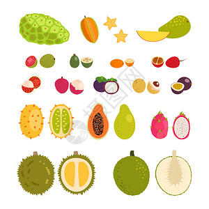 一组平坦的卡通矢量说明热带异国水果图片