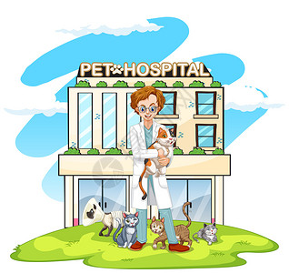 宠物医院插图中的兽医和猫图片