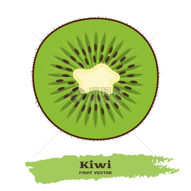 扁平风格的新鲜绿色猕猴桃非常适合设计健康的生活方式或饮食白色背景上的猕猴桃片猕猴桃切片图标水果矢量图猕图片