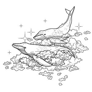 图形鲸鱼在天空中飞翔孤立在白色背景上的海洋和海洋生物黑色和白色的矢量幻想艺术成人和儿童的着图片