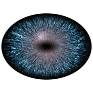 大眼睛有条纹的虹膜还有深色视网膜图片