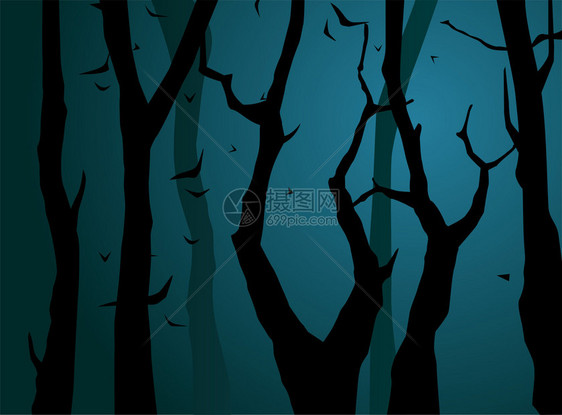 夜晚的森林矢量图图片