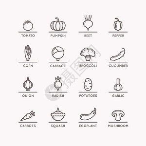 蔬菜线图标产品和食品的光环图图片
