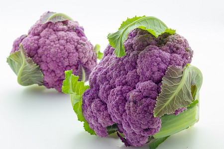 未加工的鲜美紫色花椰菜图片