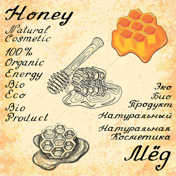 蜂蜜向量组的3绘图和手工刻字在英语和俄语文本中环保的用于标签传单在线商店天然生物制品图片