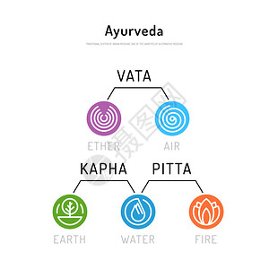 阿育吠陀矢量图解doshasvatapittakapha阿育吠陀身体类型阿育吠陀信息图健康的生活方式与图片
