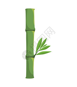 竹植物图标代表的自然和植物概念单形和平面图示isotedandflapex图片