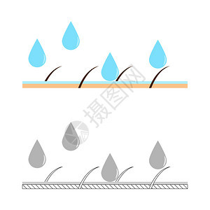 皮肤水合作用剖面图矢量图图片