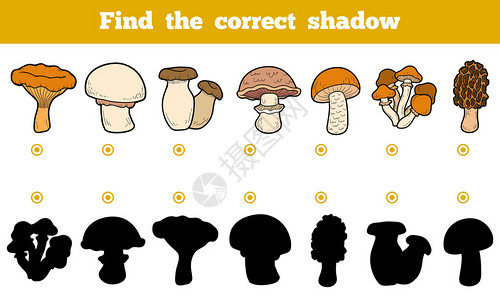 寻找正确的影子儿童教育游戏一套食用蘑图片
