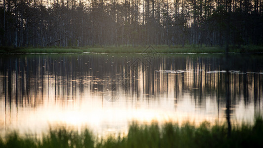 水中树木的抽象反射与日落颜色背景图片
