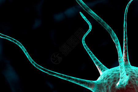 3d神经细胞图背景图片