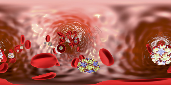 血液中含有红血细胞和白血球的乙型肝炎的360图片