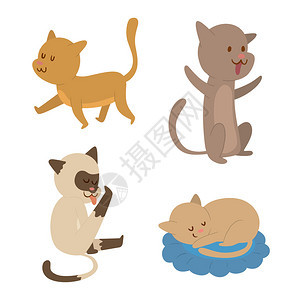 猫卡通风格矢量剪影可爱的家猫动物嬉戏卡通猫年轻可爱的尾巴符号俏皮卡通搞笑国背景图片