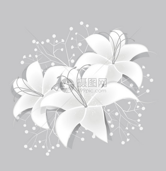 矢量浪漫花卉背景与白百合图片