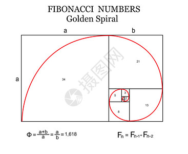 Fibonacci螺旋又称金螺旋图片