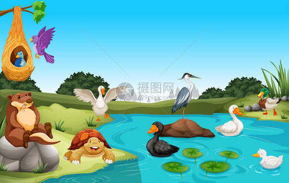 许多生活在池塘边的动物插图图片
