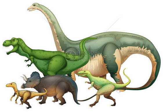 白色背景插图上的许多恐龙图片