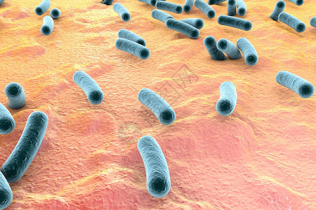 皮肤表面的细菌粘膜或肠道Esherichia大肠SalmonellaMycobactium结核病模型模拟电子显微图片