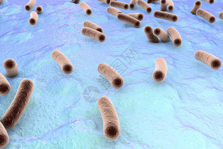 皮肤表面的细菌粘膜或肠道Esherichia大肠SalmonellaMycobactium结核病模型模拟电子显微图片