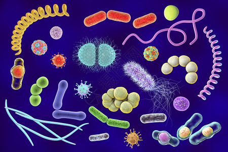 微生物背景图片