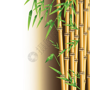 带树叶图标的竹条尾巴自然植物装饰和亚像主题多彩设背景图片