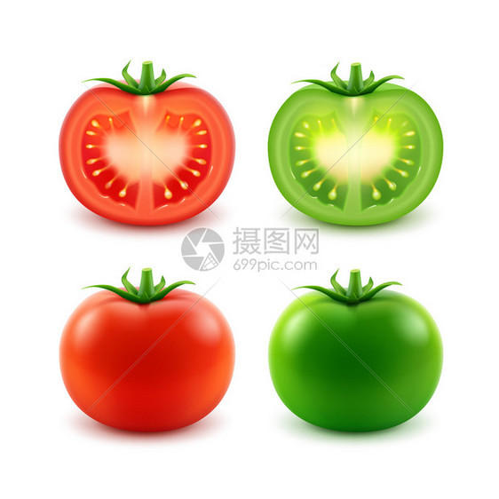 大开阔红绿新切全番茄的矢量组关闭白图片