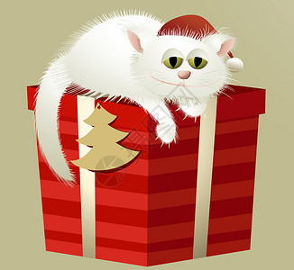 带大礼物的白色圣诞猫图片