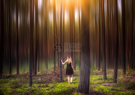 魔法森林中的年轻女子欧洲森林中金图片