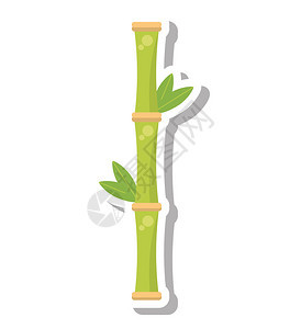 竹草植物SPA孤立图标背景图片