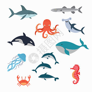 海洋生物矢量设计插图集鱼图片