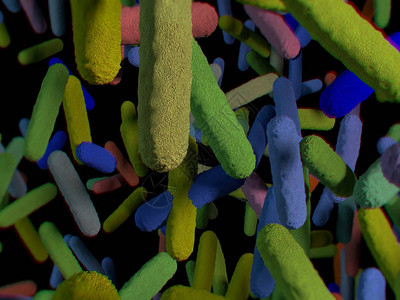 肠道细菌微生物组3D插图图片