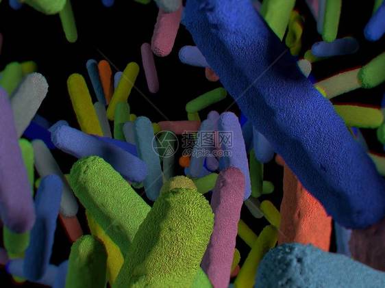 肠道细菌微生物组3D插图图片