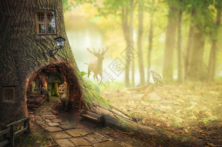童话森林里的女孩发现了地牢的秘密入口图片