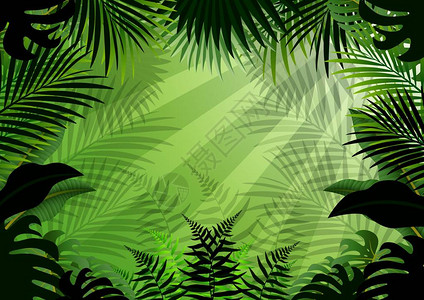 热带森林背景无缝热带森图片