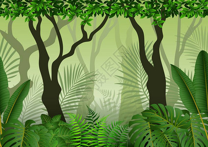 热带森林背景无缝热带森图片