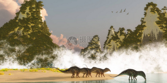 一群阿马尔加龙恐早晨来到湖边喝水当一群泽尼乌诺特鲁斯彼得罗索尔爬行动物飞过图片