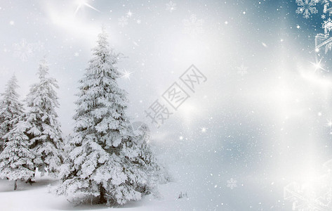 白雪皑的冬季景观的圣诞背景图片