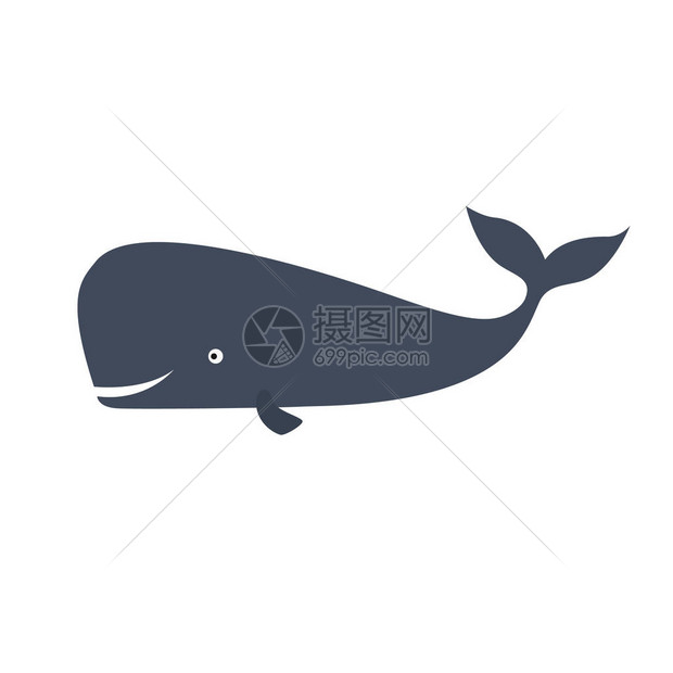 快乐抹香鲸Cachalot在白色背景上被隔离图片